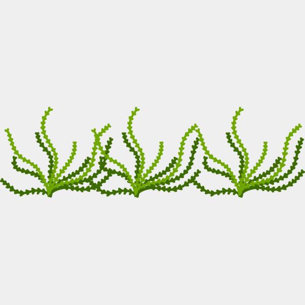 Sea Plant Thumbnail