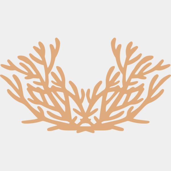 Sea Plants Thumbnail