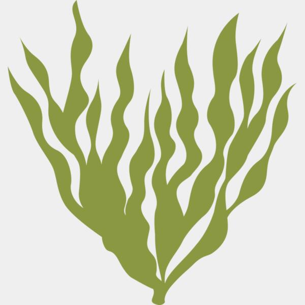 Sea Plants 5 Thumbnail