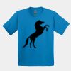 GILDAN® ULTRA COTTON® YOUTH T-SHIRT Thumbnail