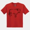 GILDAN® DRYBLEND™ YOUTH T-SHIRT Thumbnail