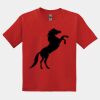 GILDAN® DRYBLEND™ YOUTH T-SHIRT Thumbnail