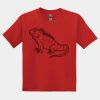 GILDAN® DRYBLEND™ YOUTH T-SHIRT Thumbnail
