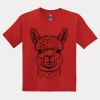 GILDAN® DRYBLEND™ YOUTH T-SHIRT Thumbnail
