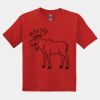 GILDAN® DRYBLEND™ YOUTH T-SHIRT Thumbnail