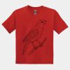 GILDAN® DRYBLEND™ YOUTH T-SHIRT Thumbnail