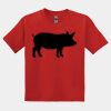 GILDAN® DRYBLEND™ YOUTH T-SHIRT Thumbnail