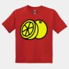 GILDAN® DRYBLEND™ YOUTH T-SHIRT Thumbnail